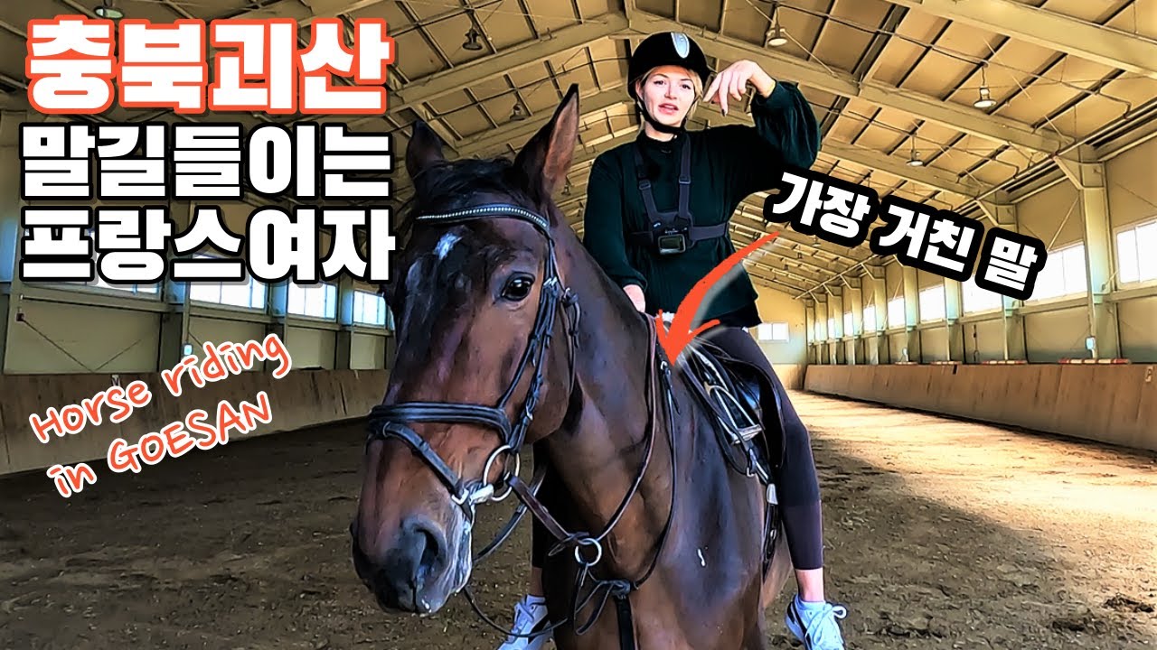 프랑스 승마선수, 한국승마장에서 초보인척.../ 거친 말을 조련하는 프랑스 여인!!