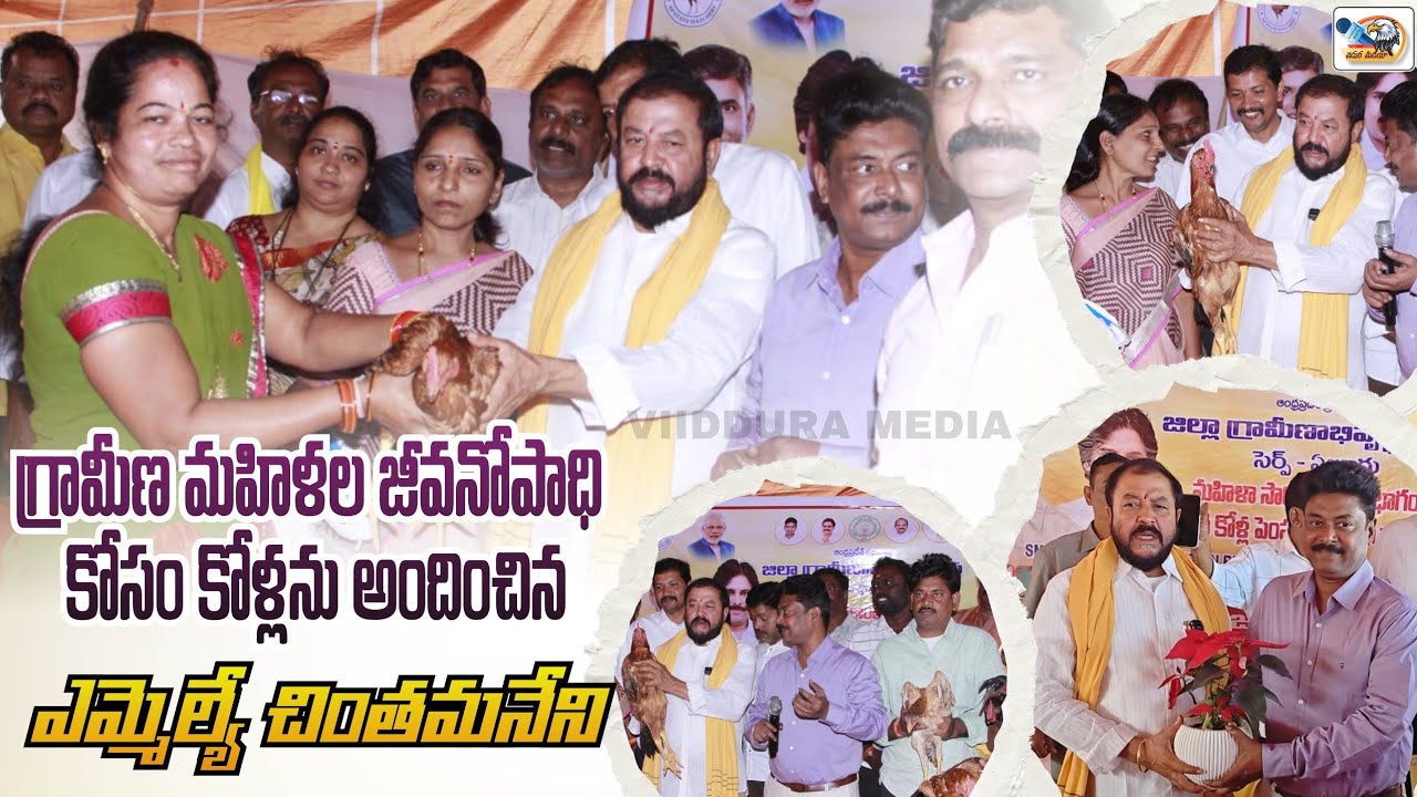 గ్రామీణ మహిళల జీవనోపాధి కోసం కోళ్లను అందించిన ఎమ్మెల్యే చింతమనేని | VIIDDURA MEDIA