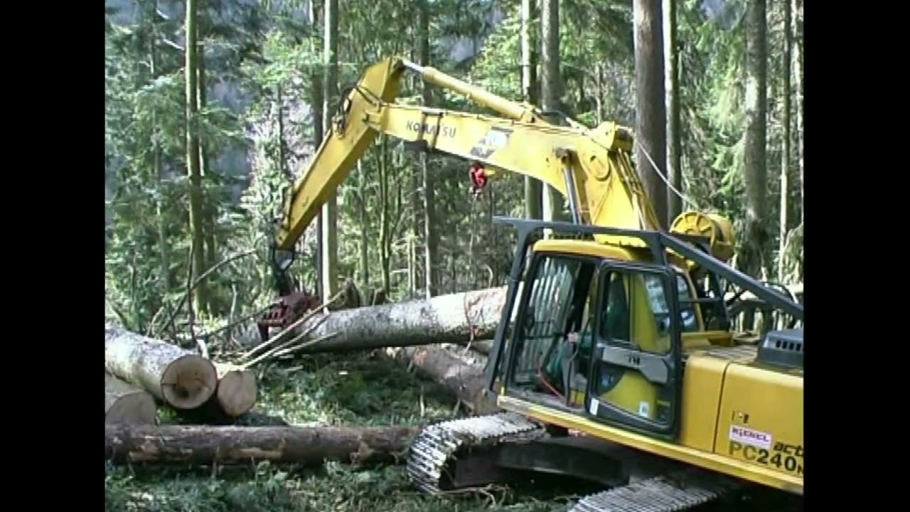 Holzernteverfahren: Seilbagger-Verfahren