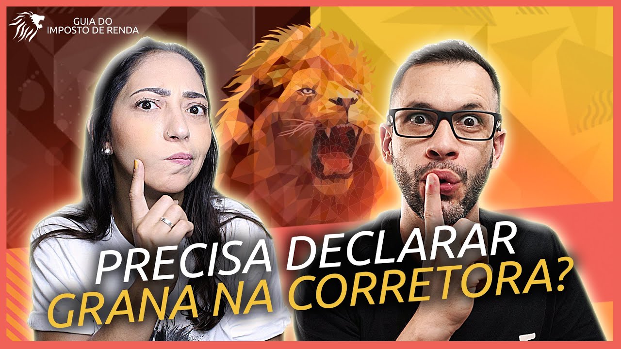 Quem precisa fazer a DECLARAÇÃO? Qual investimento paga IR? 🦁GUIA do IMPOSTO de RENDA💸