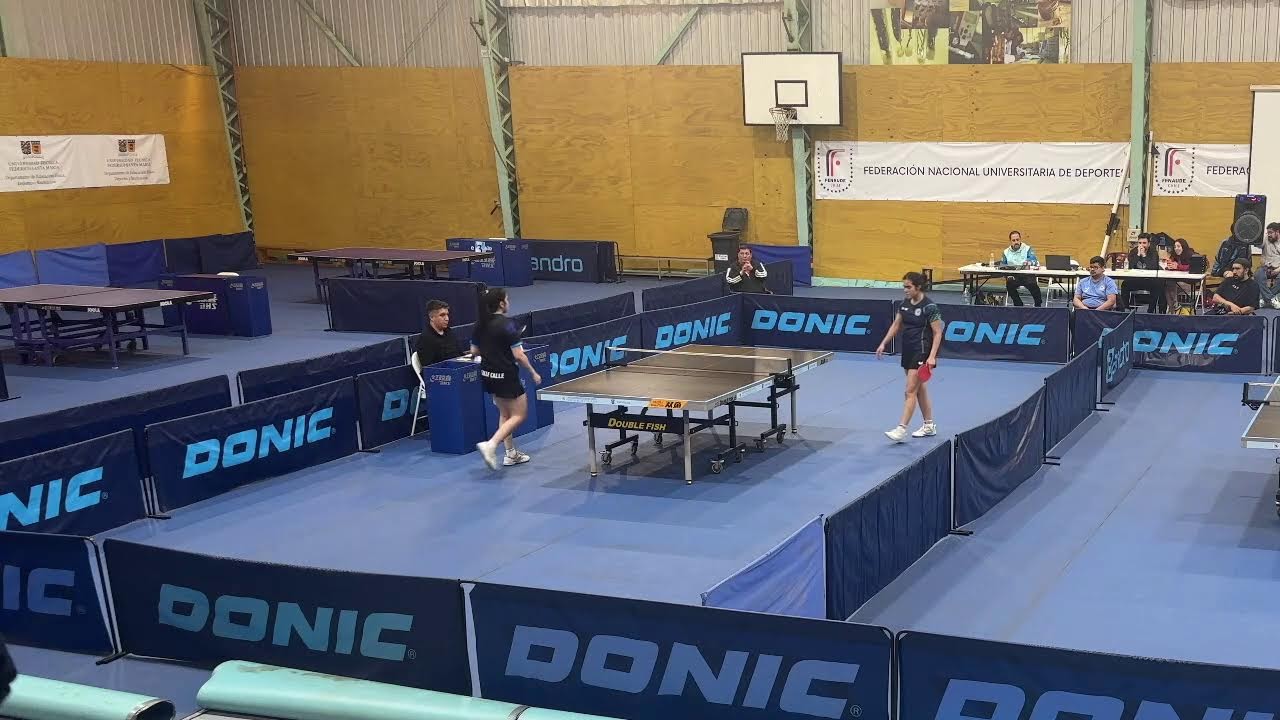 Gran Zonal Unión Quilpué 2025 - Domingo 19