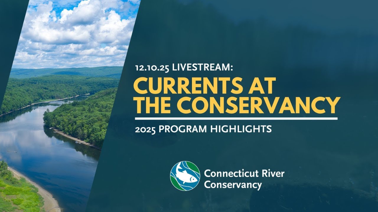 Currents at the Conservancy: 2025 River Highlights LiveStream