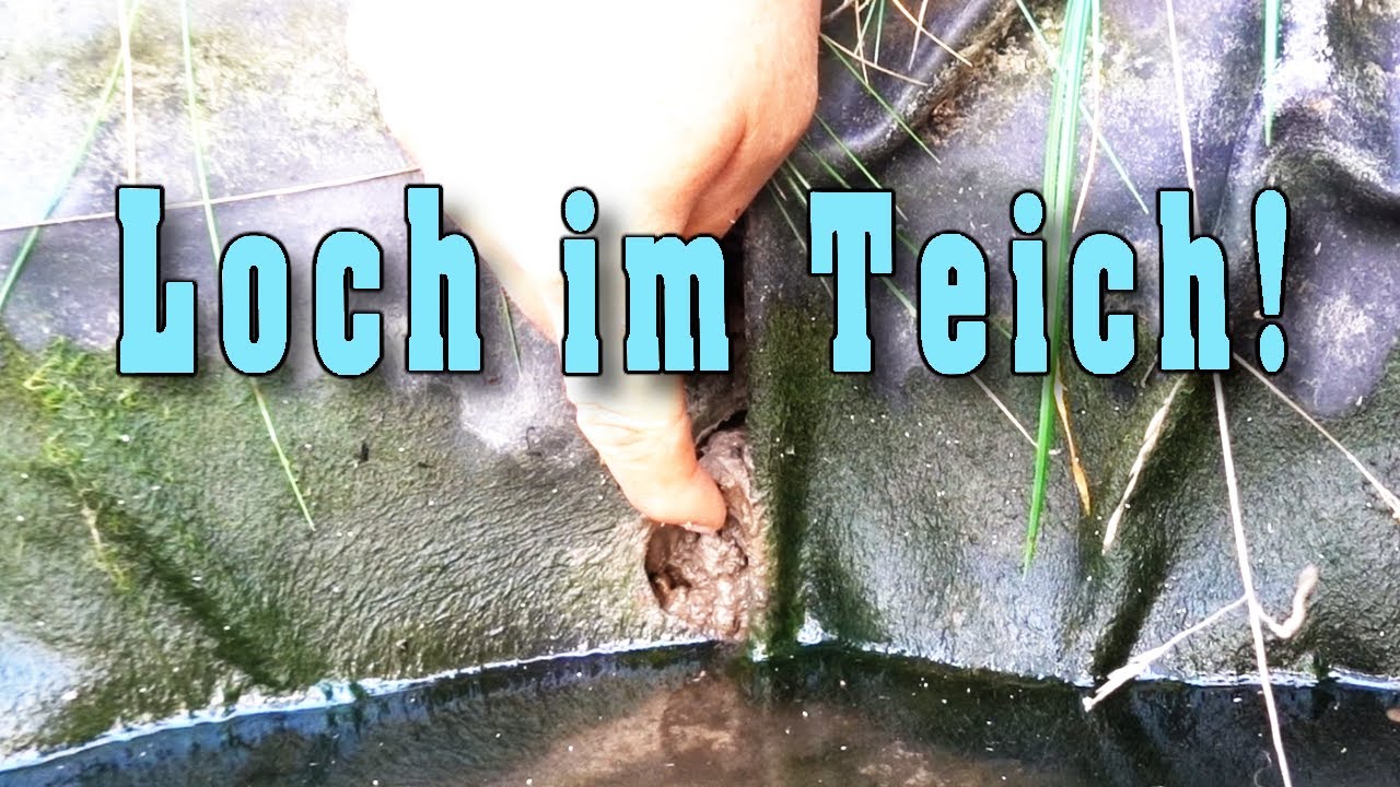 Teichfolie reparieren