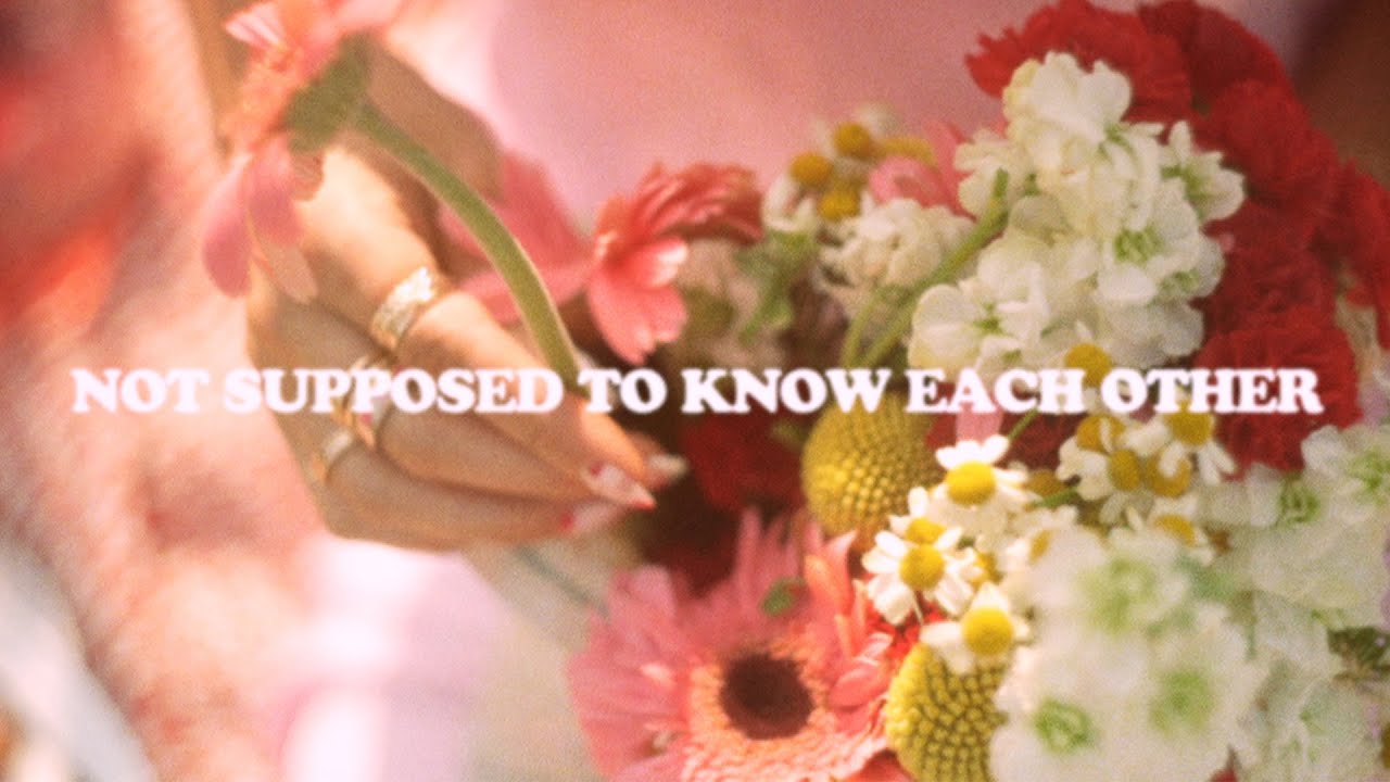 Taylor Edwards - Not Supposed to Know Each Other (Official Music Video)