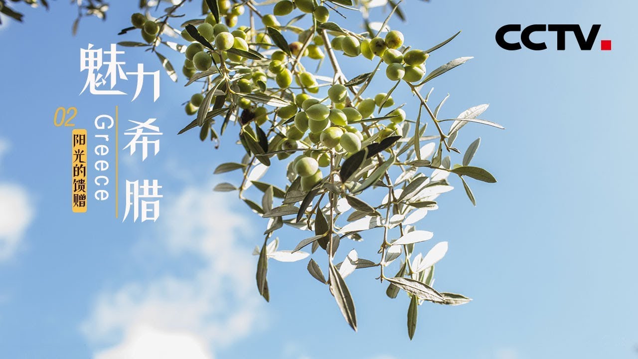 《魅力希腊》第二集 阳光的馈赠 | CCTV纪录