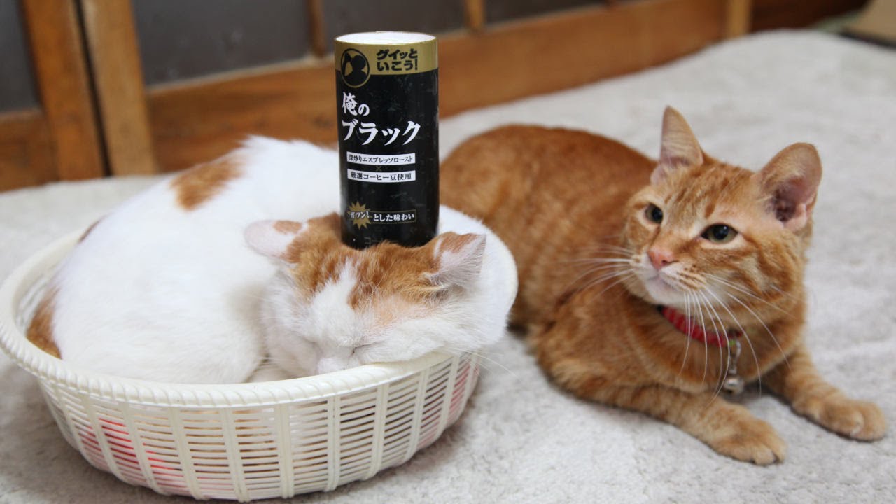うずまきLIVE配信？　放置？　朝まで？　2026年2月15日