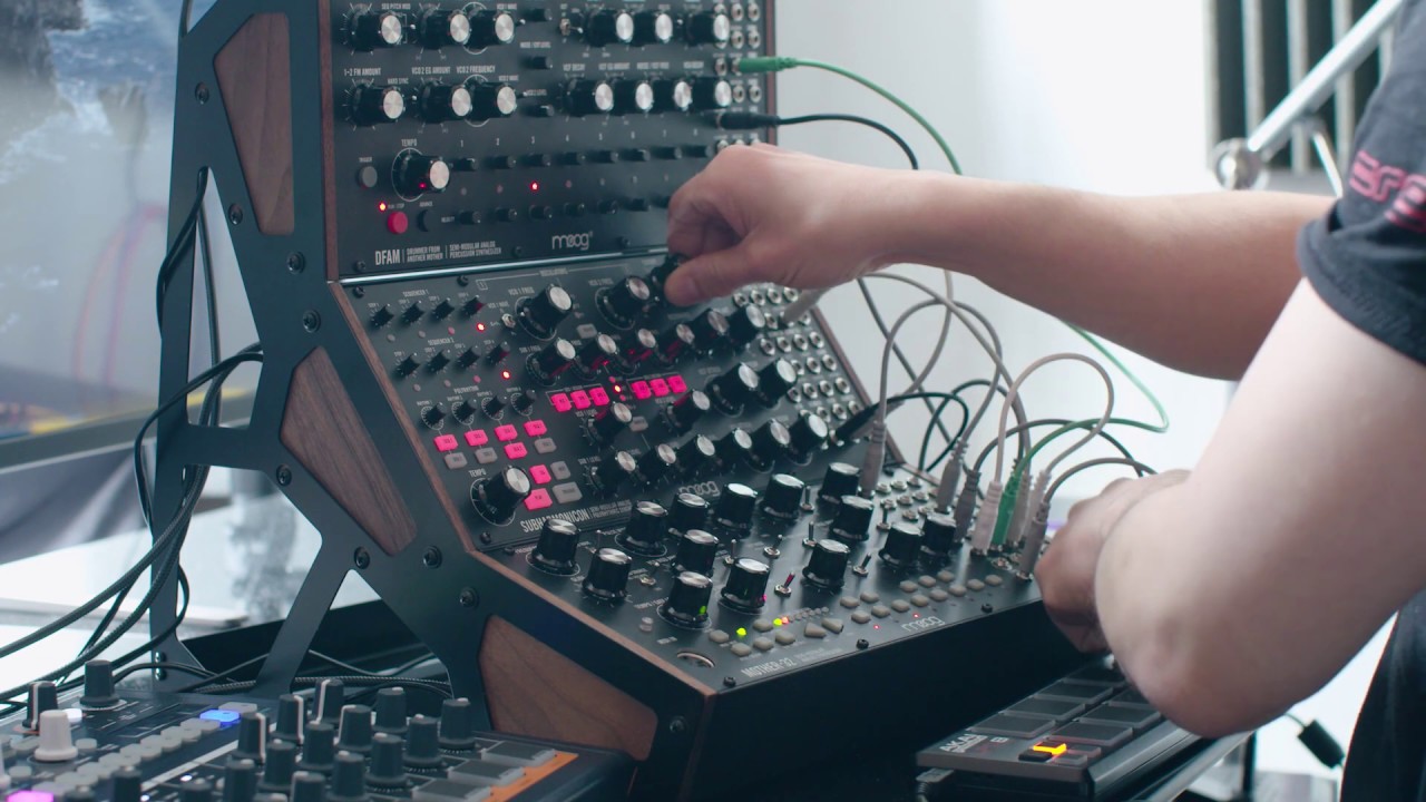 Moog Subharmonicon live performance || cascading beyond control