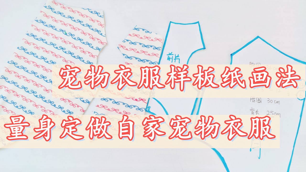 宠物衣服样板纸画法，非专业缝纫教学，无需专业知识也可以学会