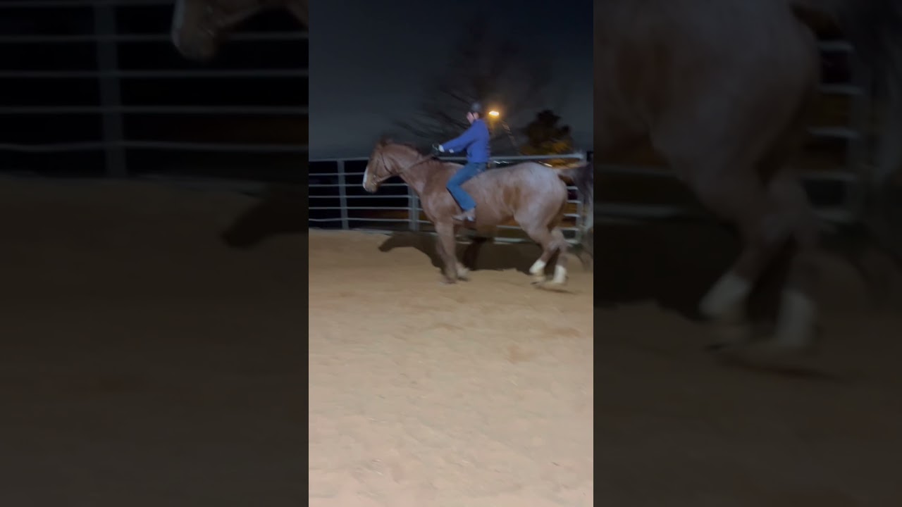 Loved riding Chilli!!!!