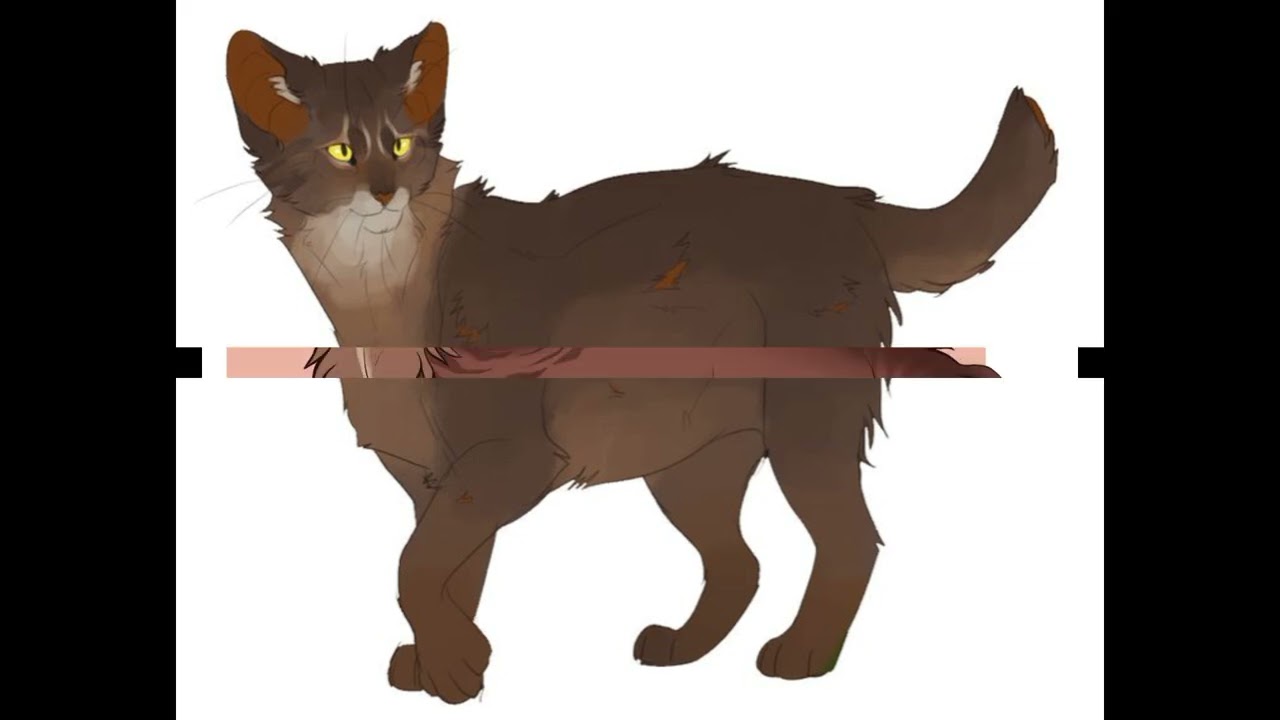 Коты Воители 