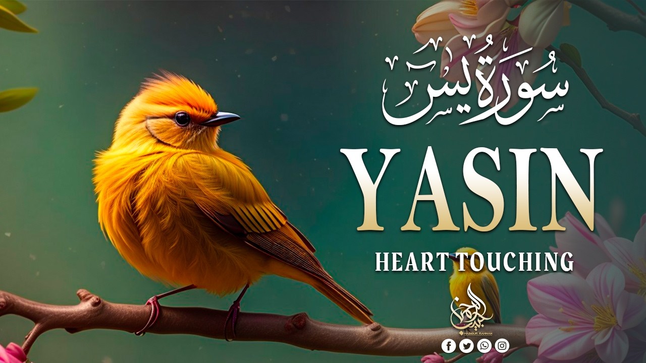 Surah Yaseen سورة يس | Soothing & Beautiful Recitation for Inner Peace by Alaa Aqel Quran for Sleep