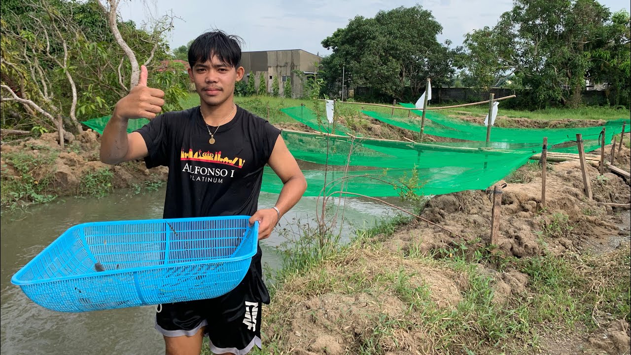Pagsosorting Sa Earth Pond | Para Maiwasan Ang Pagkalugi (09636319471)