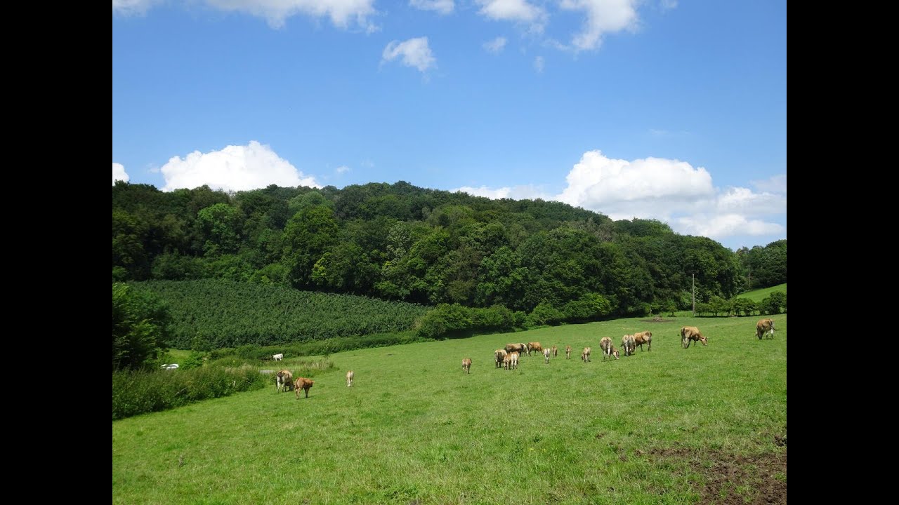 NATUURPARADIJS VOEREN - PARADIS NATUREL FOURONS