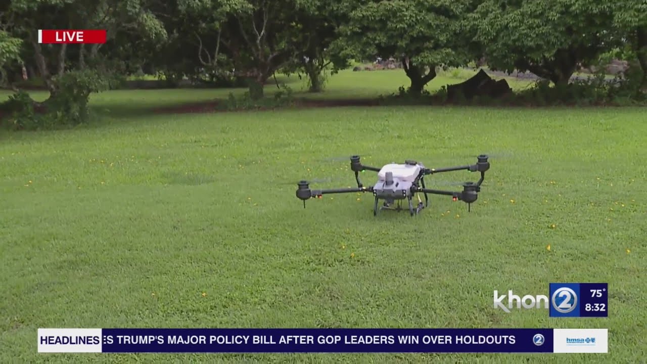 Drones are being used in ongoing fight against Little Fire Ants