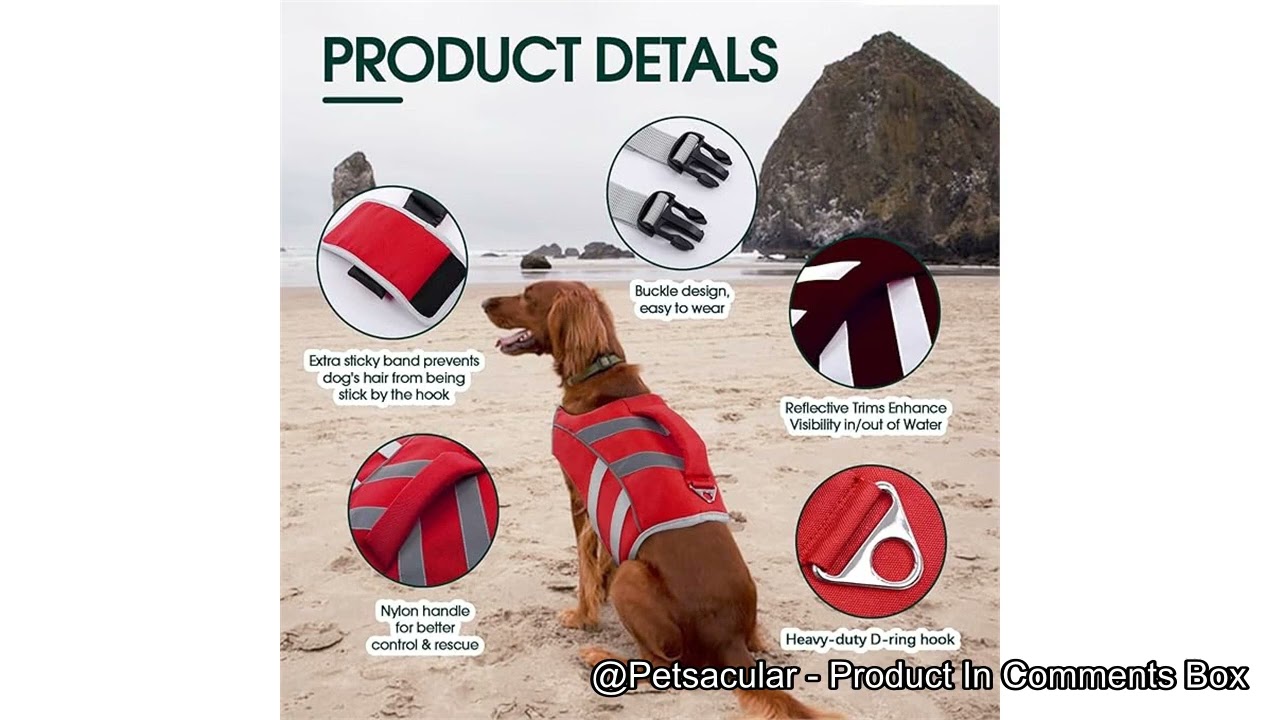 Kuoser Dog Life Jacket Review: Is This High-Visibility Vest Worth the Investment for Your Pet?