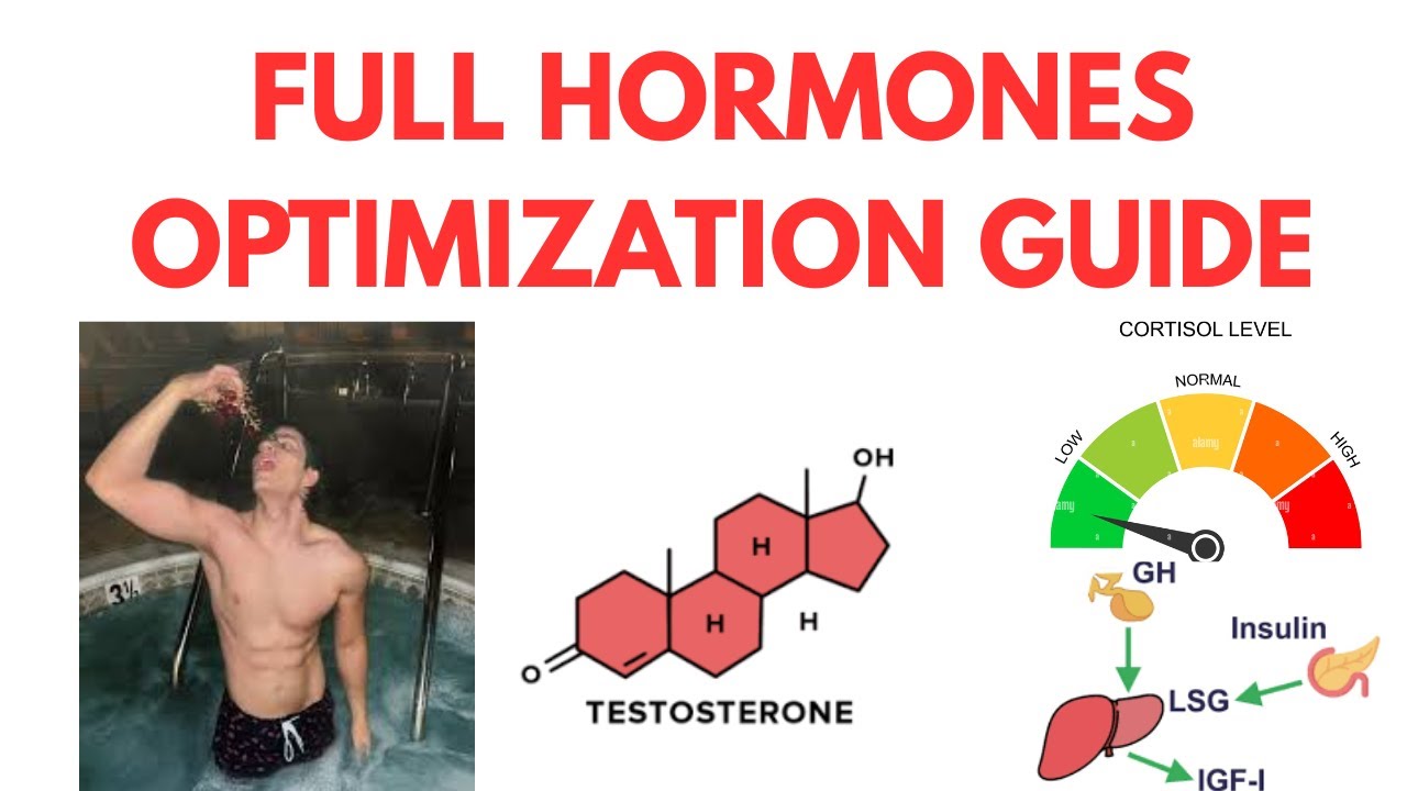 Full Hormones Guide for Looksmaxxers