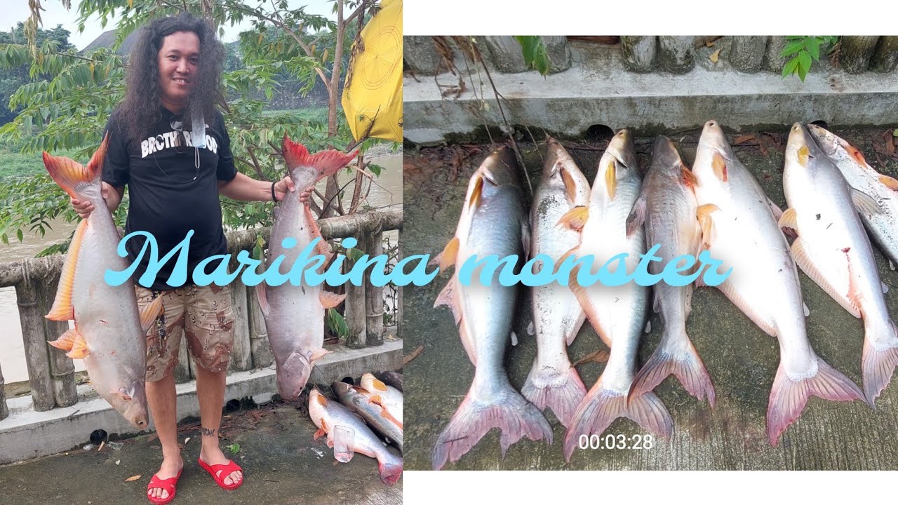 marikina river monster.