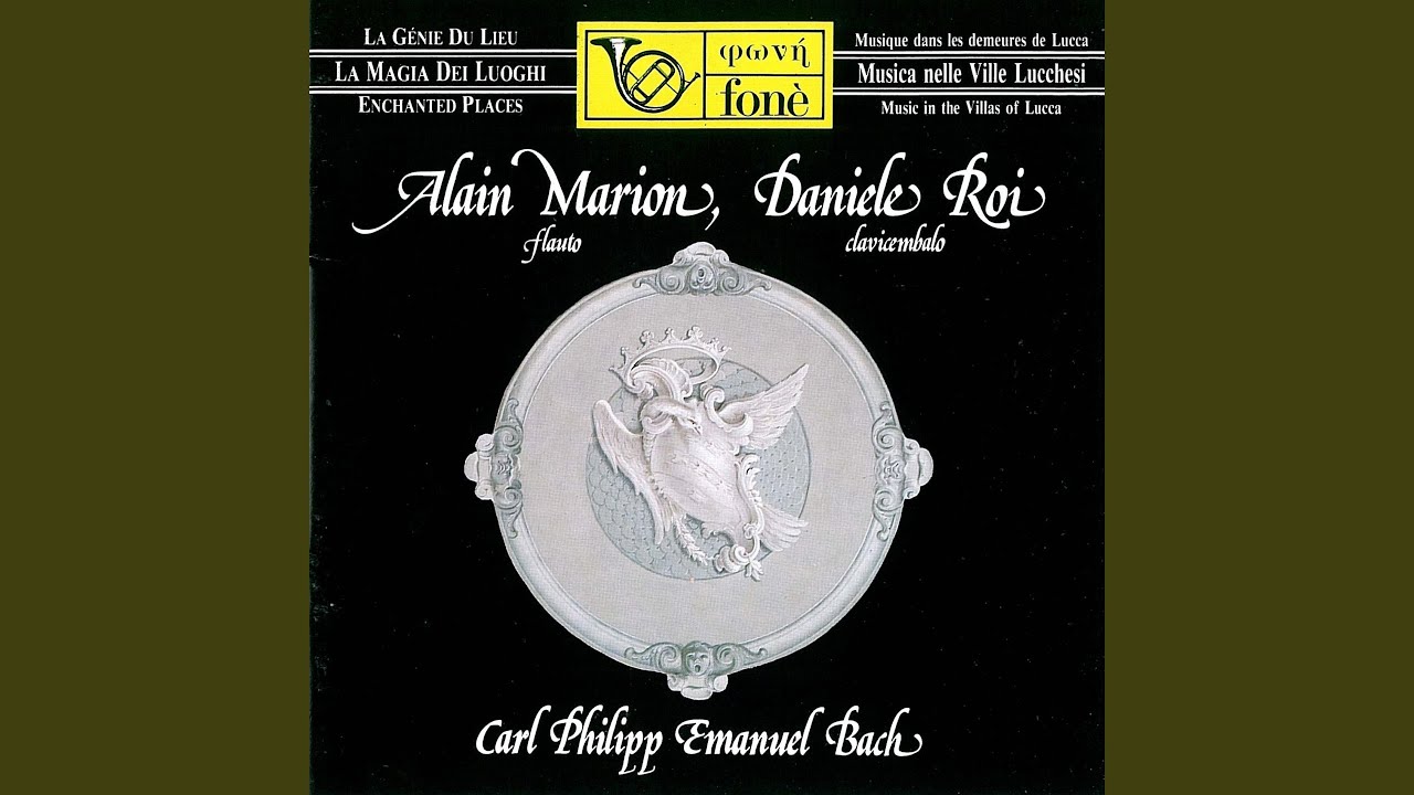 Flute Sonata in D Major, Wq. 129: II. Allegro