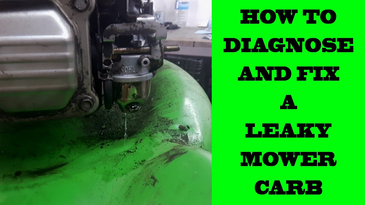 How To Diagnose and Fix a Leaky Carburetor on Lawn Boy Mower