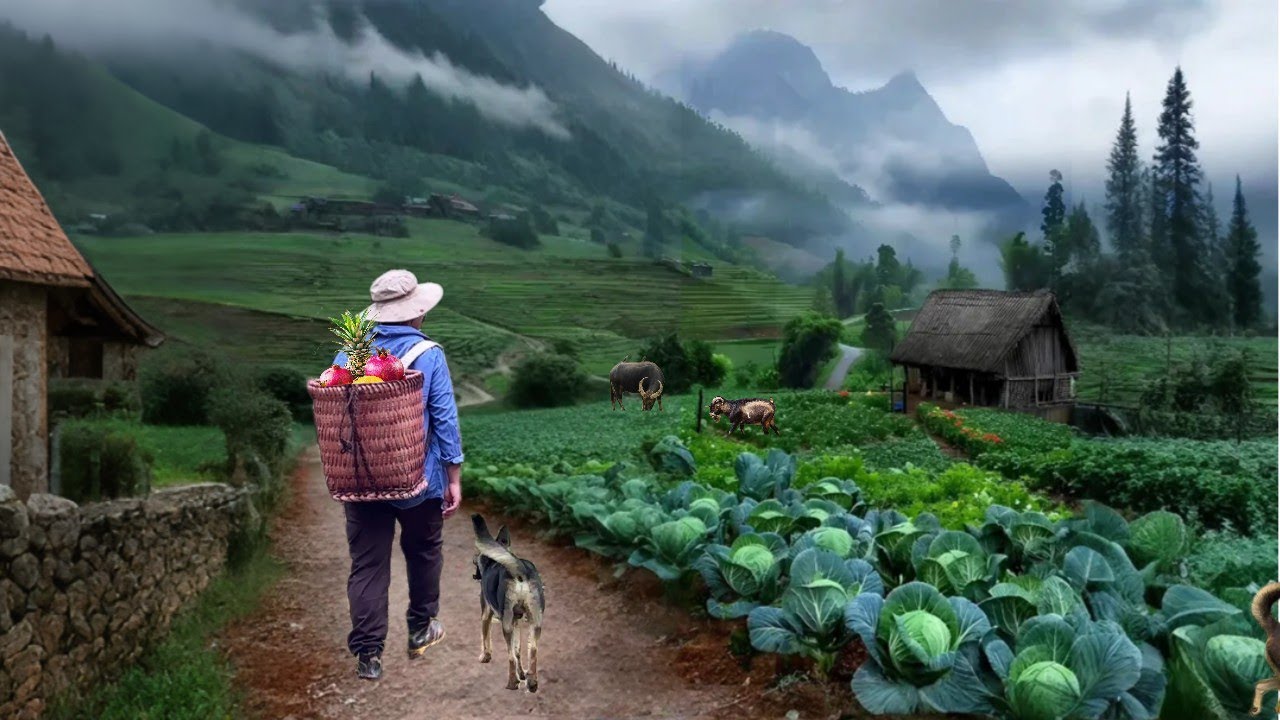 Leaving the Polluted City Behind | Choosing Island Homestead Life