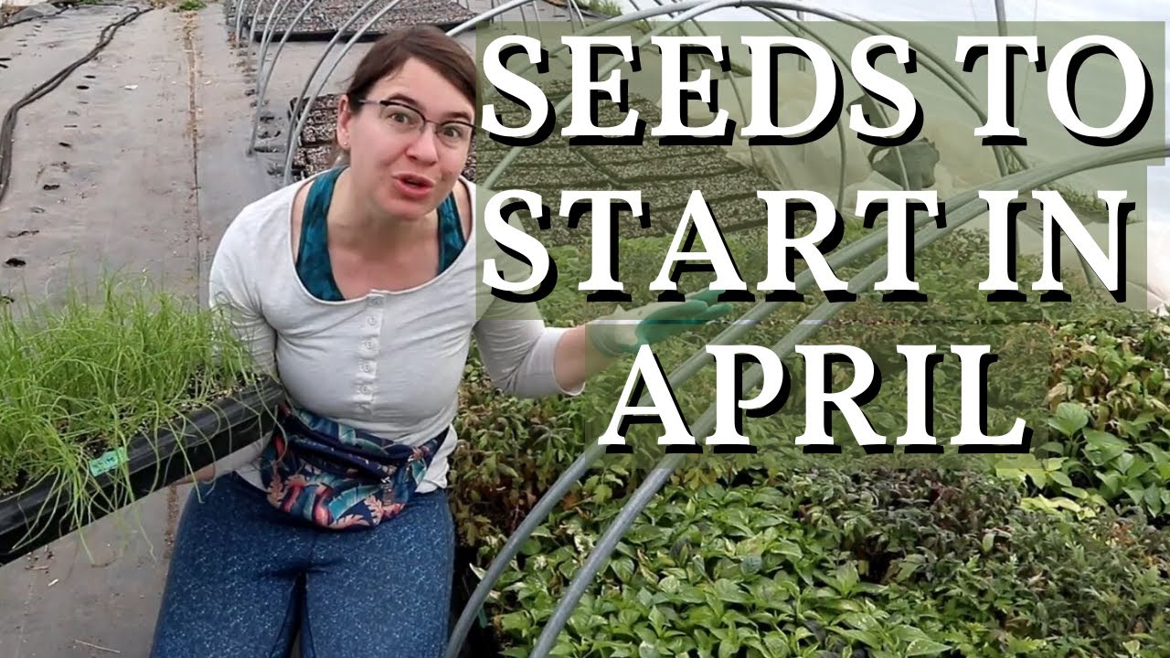 Top Veggies To Plant in April