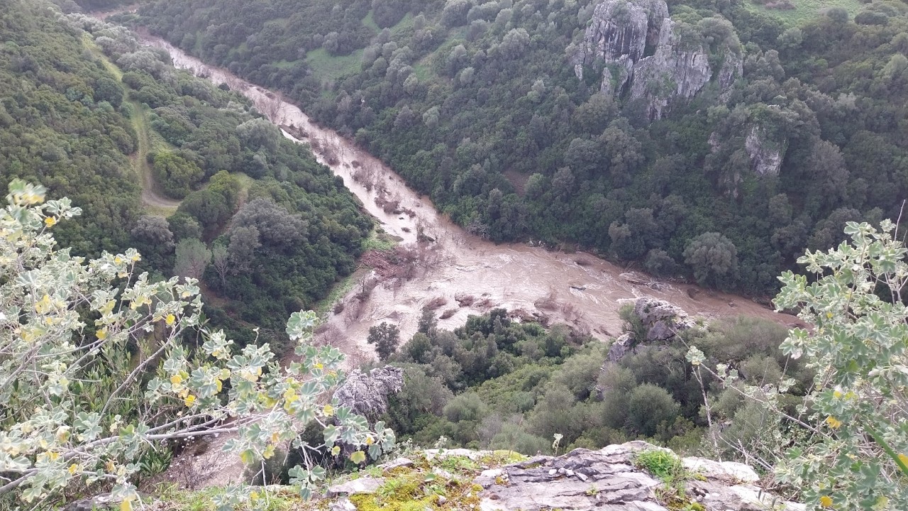 Punta Modighina