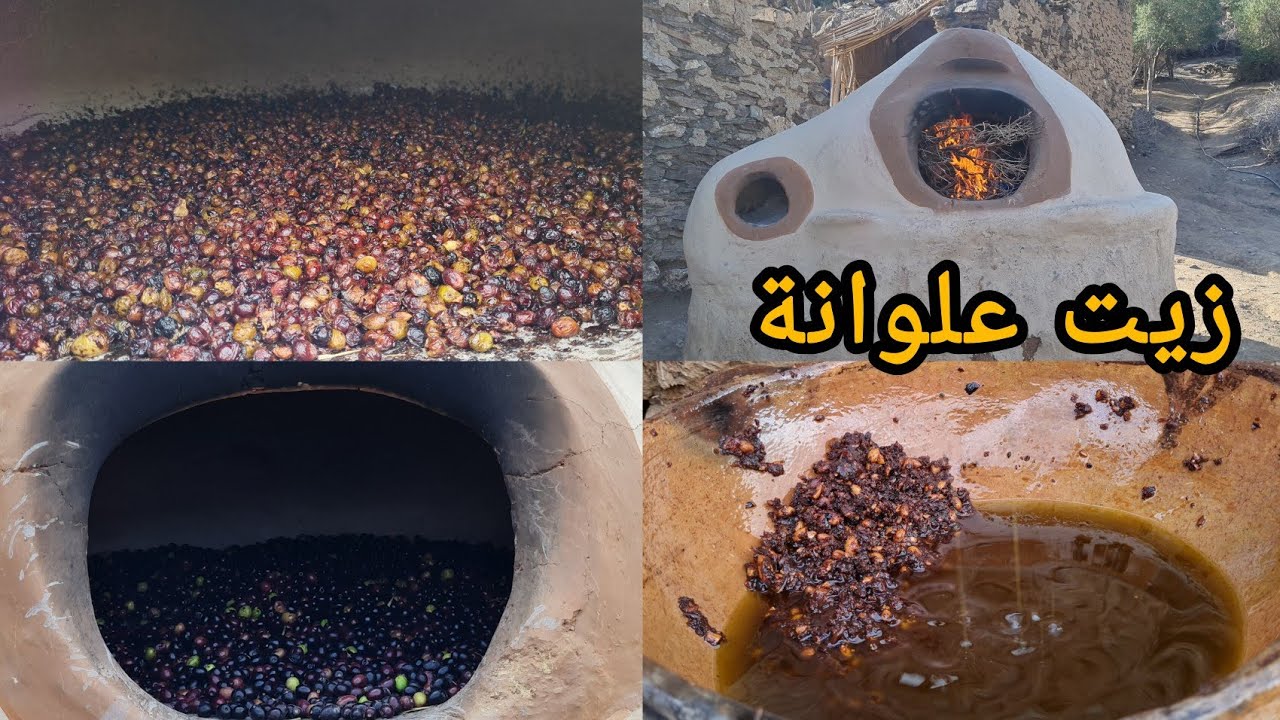 تحضير أحسن زيت في العالم زيت علوانة من بدايتها إلى نهايتها .. إقليم الحسيمة  /حلقة 01