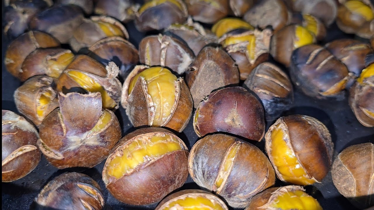 افضل طريقة لتقشير الكستناء 🌰 مشوية على الغاز 