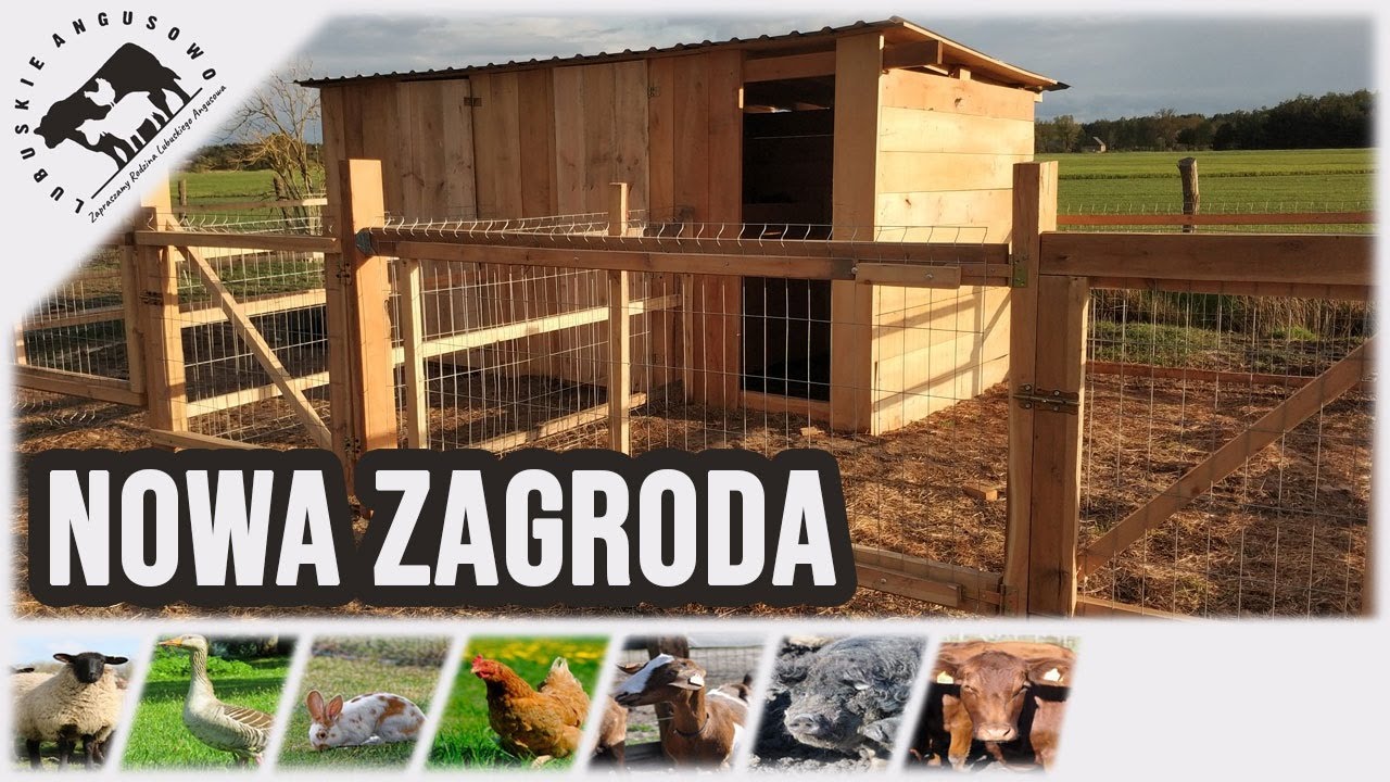 Lubuskie Angusowo - S3 E14 -  Tajemnica rozwiązana - nowa zagroda ukończona