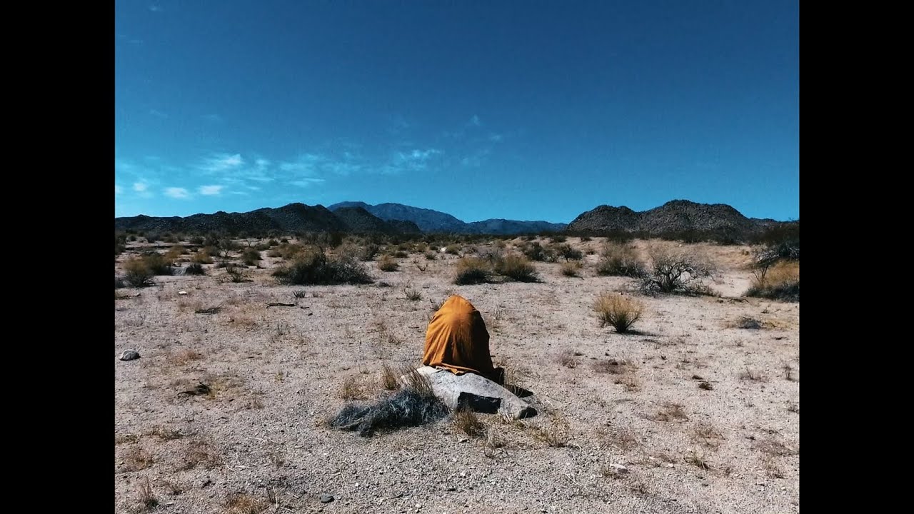 Alexis Taylor - Dying in Heaven