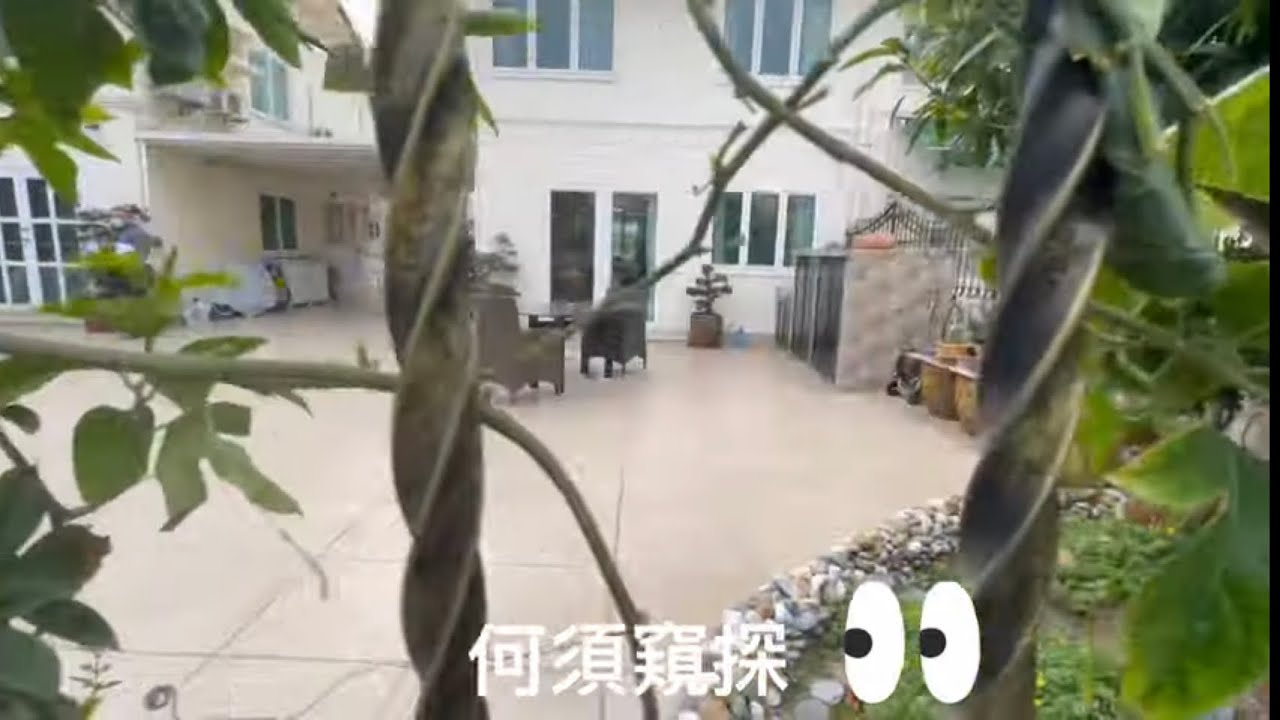 錦繡花園💥「孖屋曝光」🏡🏠原來花園可以咁大🌸Fairview Park （Sold）