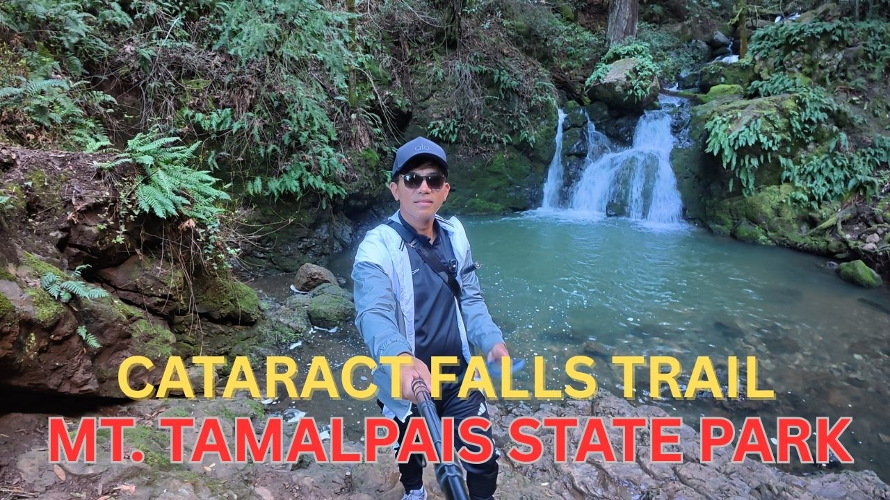 Cataract Falls Trail Mt  Tamalpais State Park
