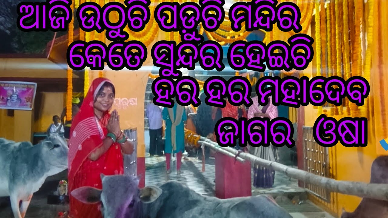  ଜାଗର ରେ ରାତିରୁ  କୁଆଡେ ଗଲୁ🙏🙏 ମନ୍ଦିର ରେ  କଣ ନନା ଆସେଥିବେ🤔//pujarani-vlog-kll vlogs video 