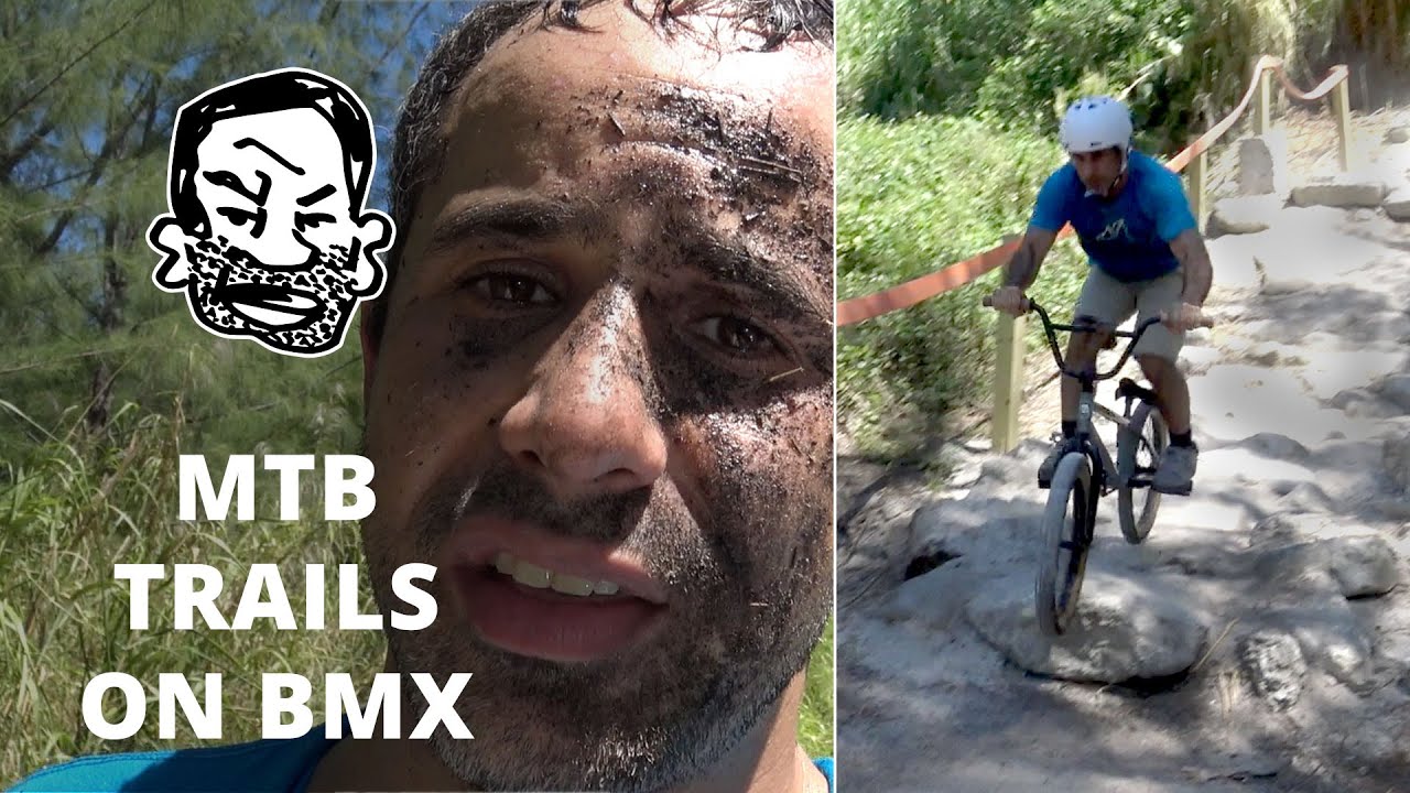Подойдет ли BMX для трасс для горного велосипеда? Вроде того.