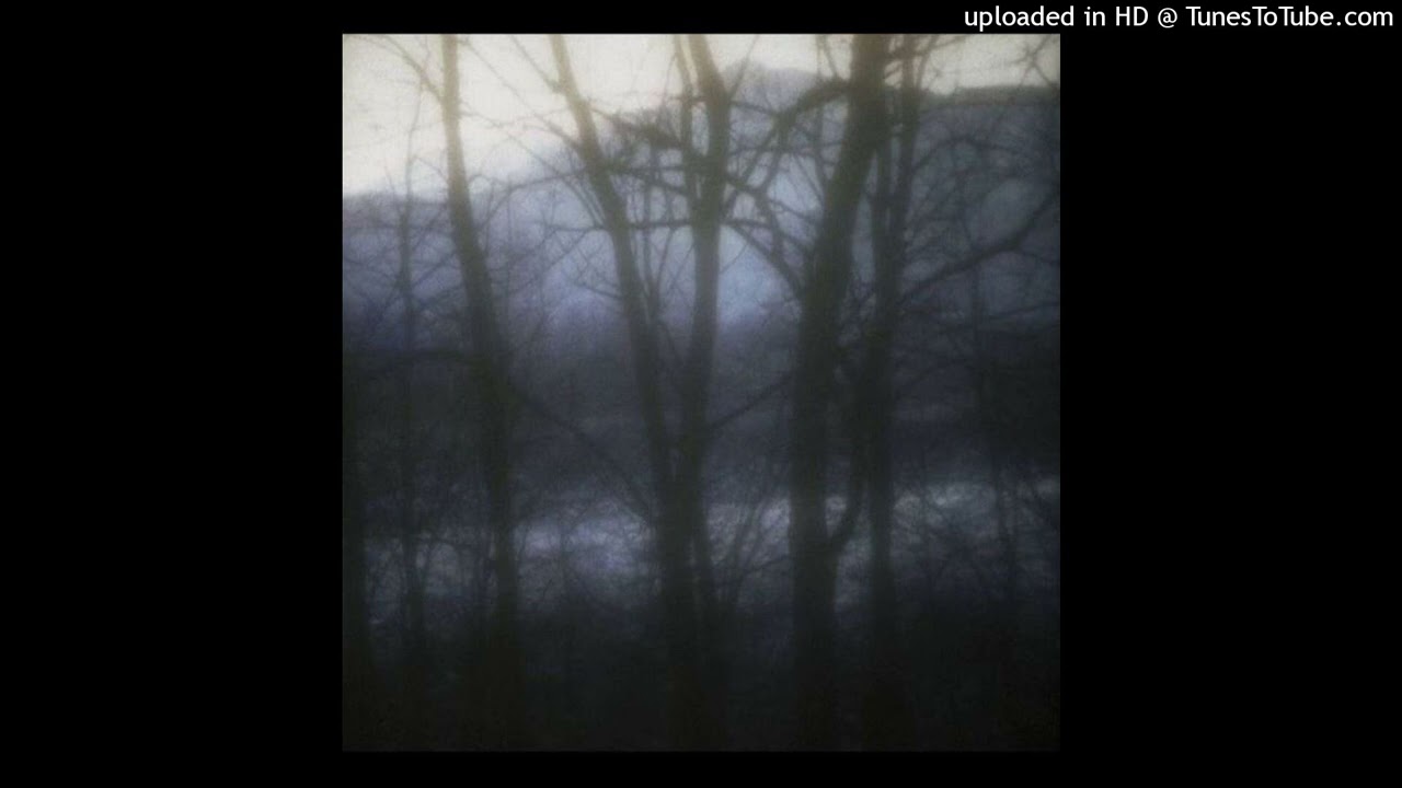 (free) ambient izaya tiji type beat - 