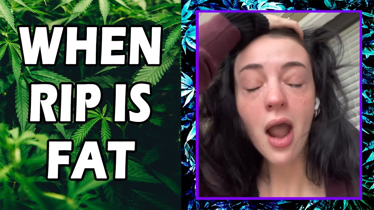 WEED MEMES & Fail Compilation [#229] - Fatally Stoned