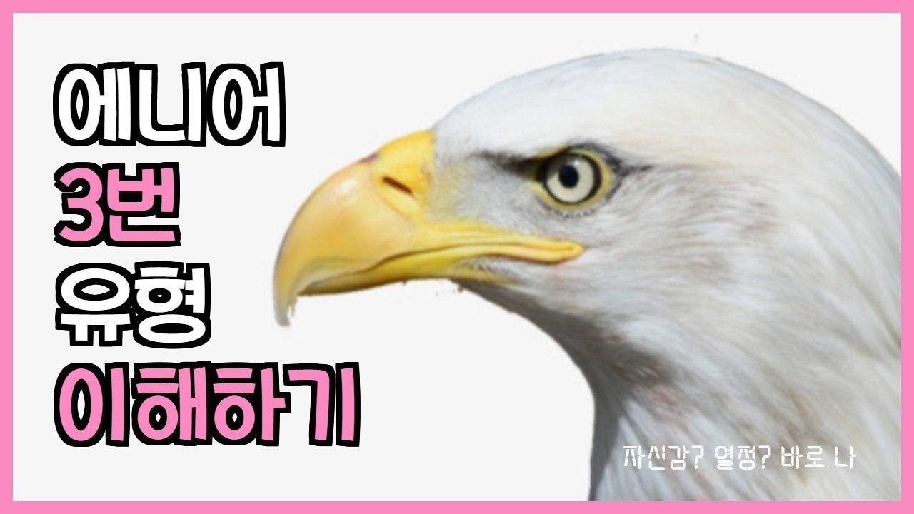 나의 내면 알아가기 : 에니어그램 3번 유형 이해