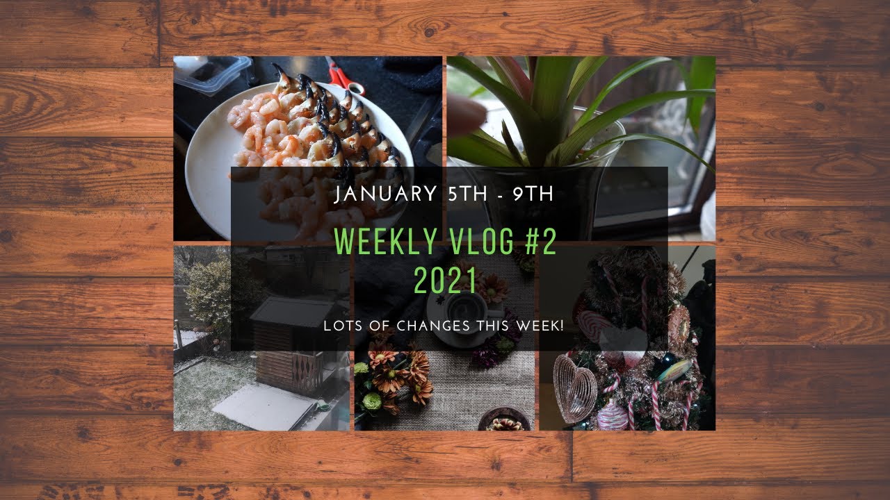 Weekly Vlog 2021 - Normal family doing normal things in hard & stressful time!