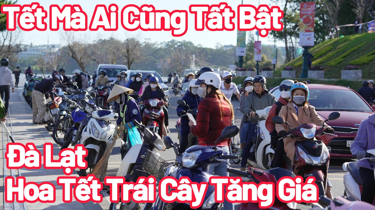 Đà Lạt Hoa Tết Tăng Giá, Tết Sao Mà Tất Bật Vội Vã Quá!