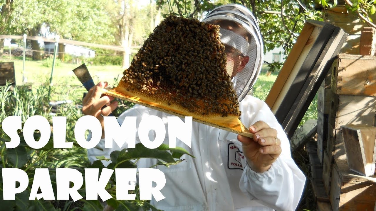 Defining our Methods - Solomon Parker - Alternative Beekeepers Conference 2019