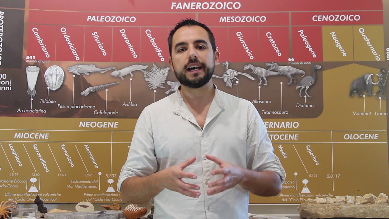 Pillole di paleontologia e geologia - L'evoluzione dell'Uomo e il suo arrivo in Sardegna