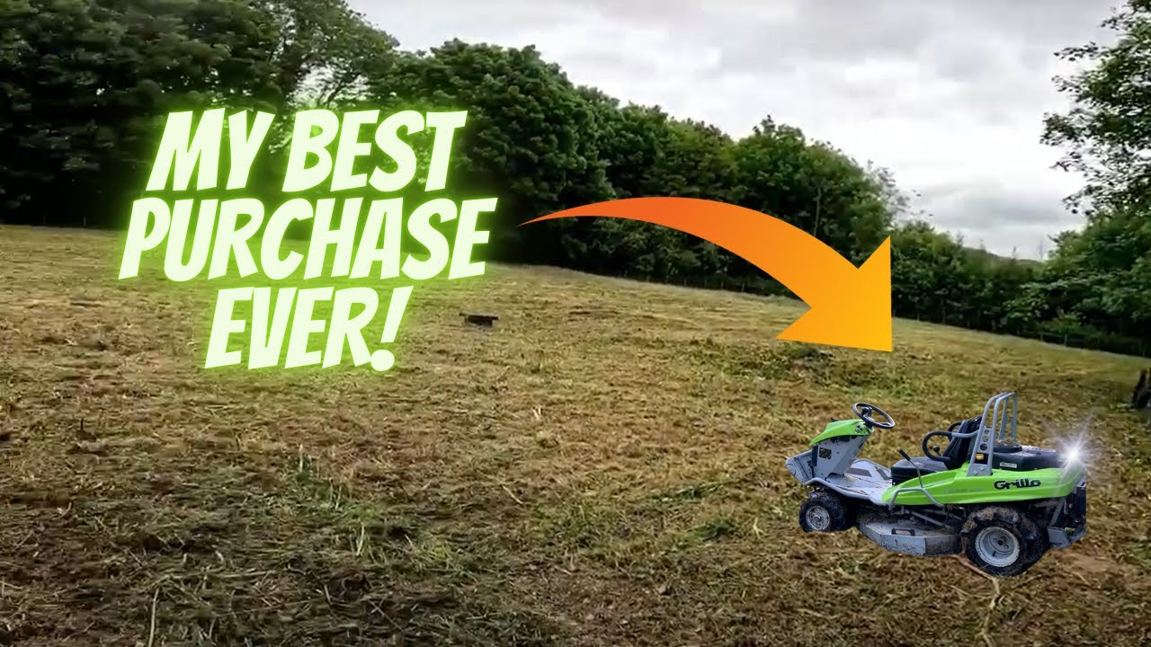 Overgrown Yard Gets a Wild Makeover!