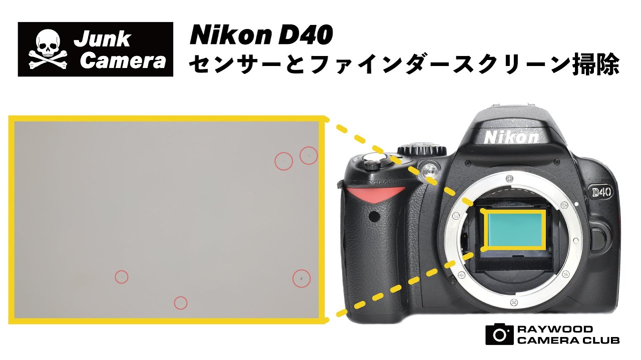 ニコンD40のセンサー掃除と、気になるファインダーのホコリも除去してみました！【RAYWOODカメラ部】～ジャンクカメラのメンテナンス～