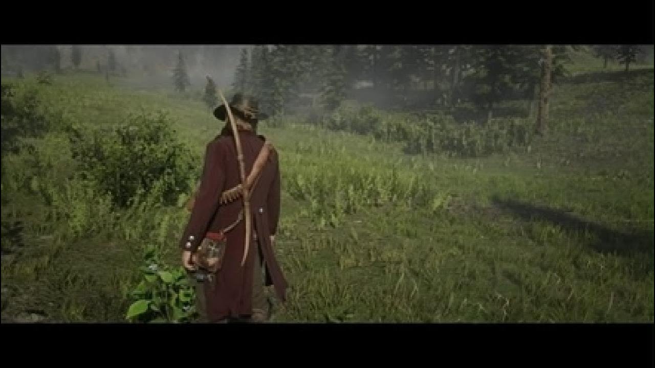 Red Dead Redemption 2_20260220193213