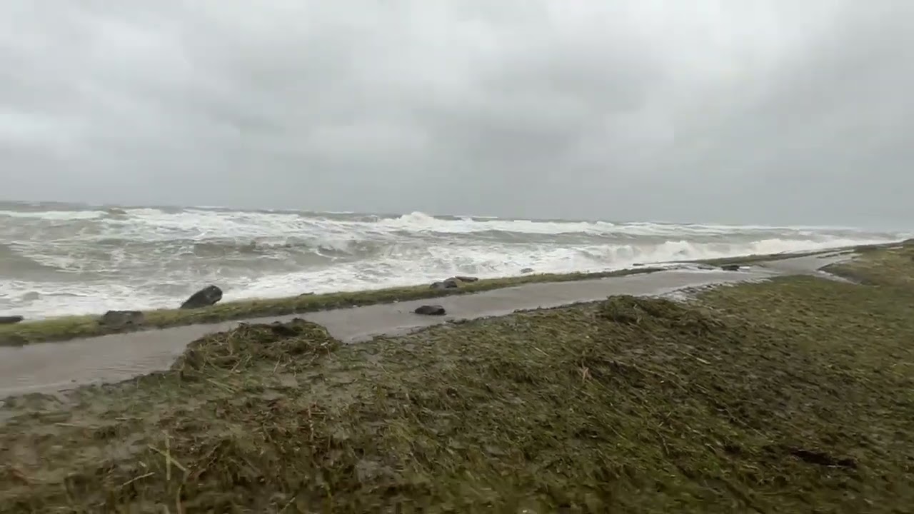Extremes #Hochwasser an der #Ostsee schwere #Sturmflut Norddeutschland Ostseeeküste Bäume umgestürzt