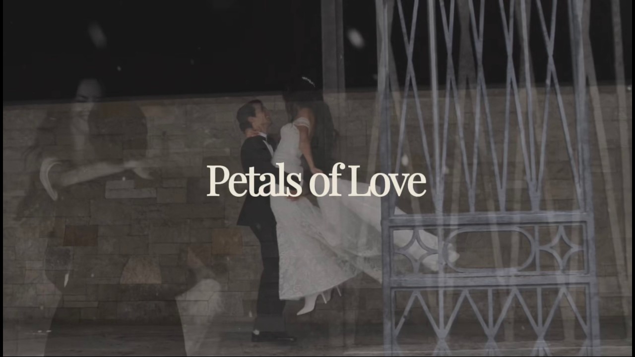 Sami Galpaian - Petals of Love (Official Music Video)