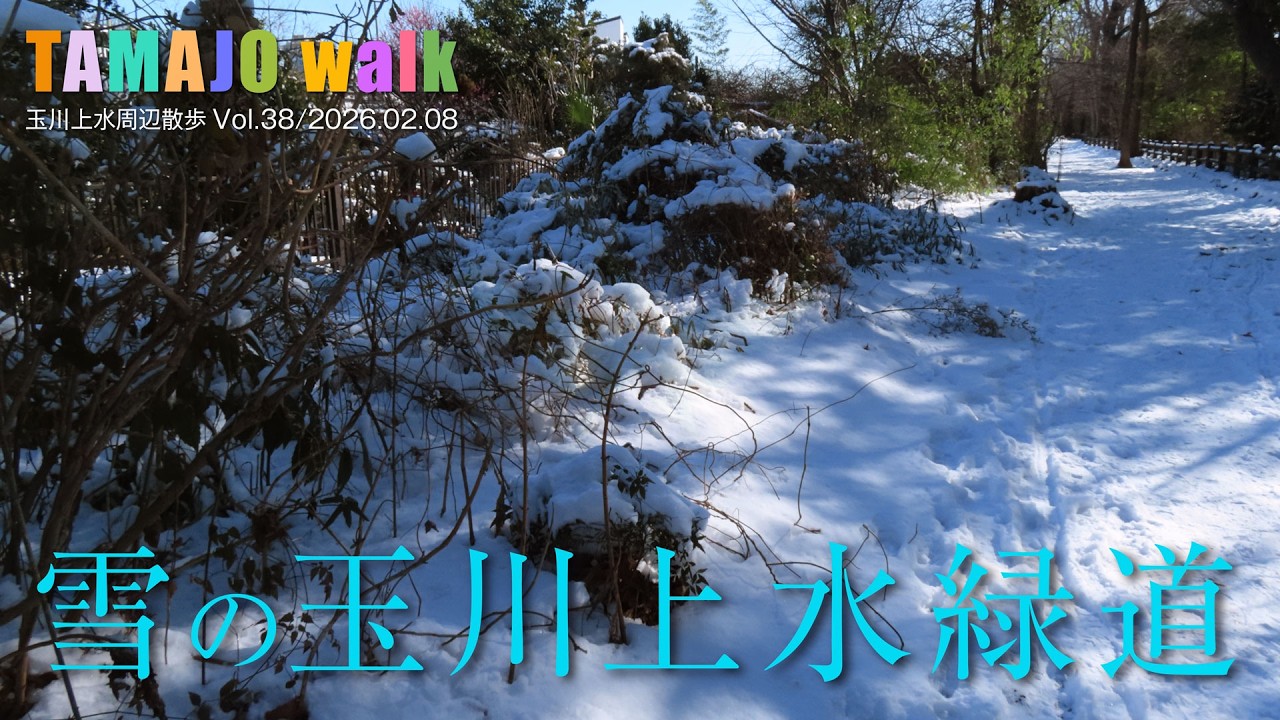 2026.02.09 雪の玉川上水緑道