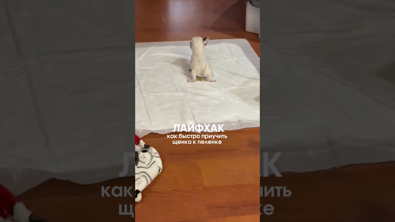 Рабочий лайфхак ✅арт WB #453153131