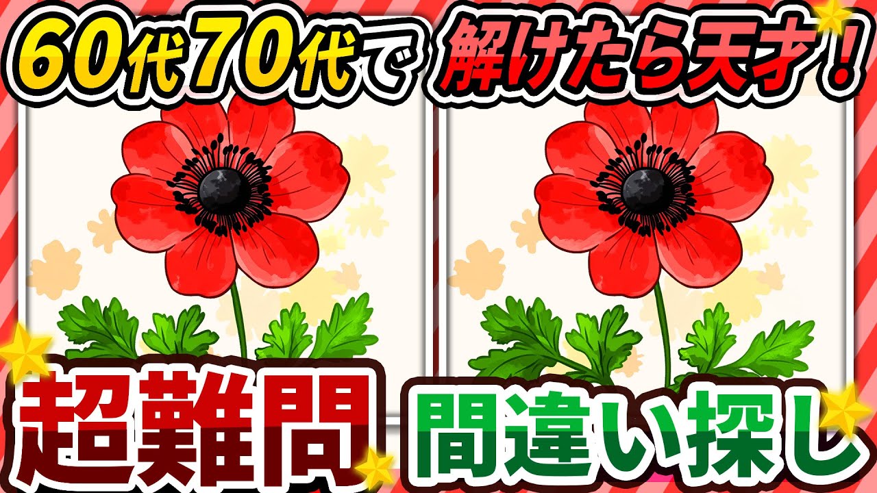 【間違い探しクイズ】⚠️むずかしいアネモネのイラスト編！脳活＆脳トレにおススメ無料ゲーム【アハ体験有り】#189