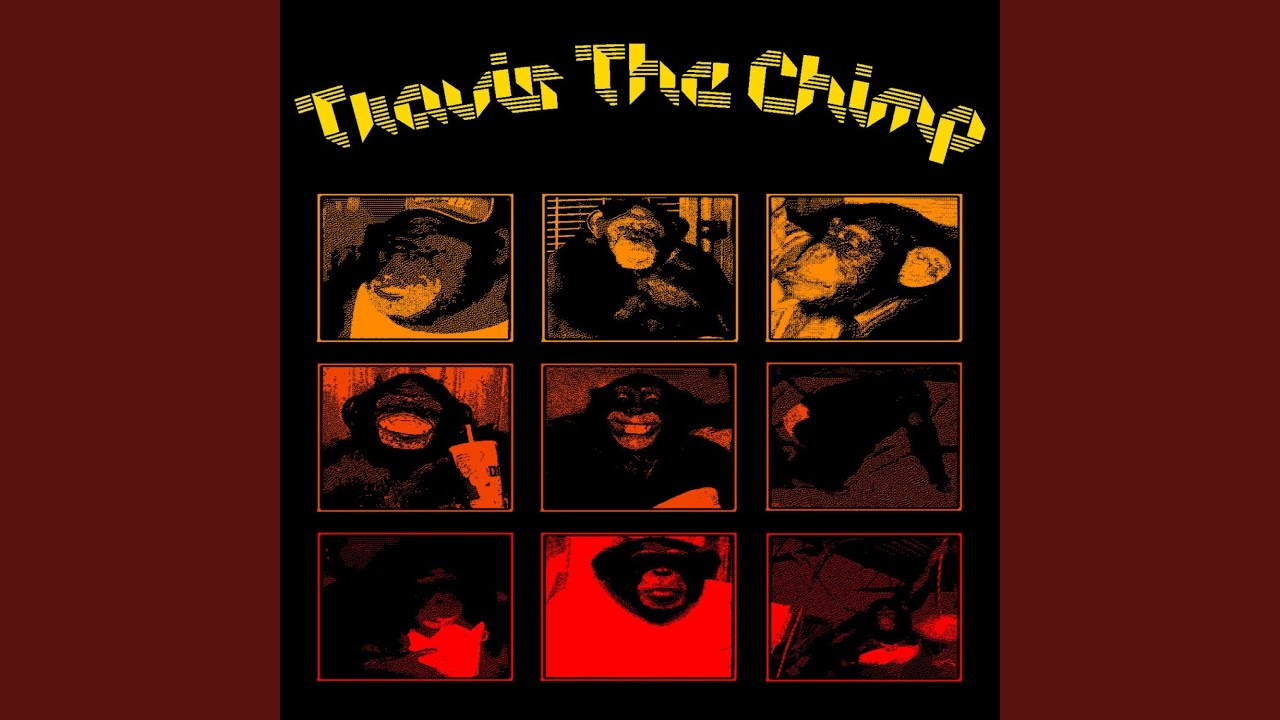 Travis The Chimp